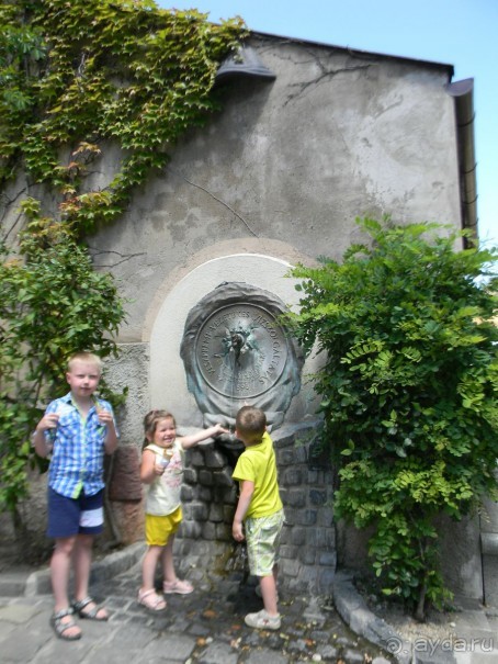 Чудесный отдых в Венгрии