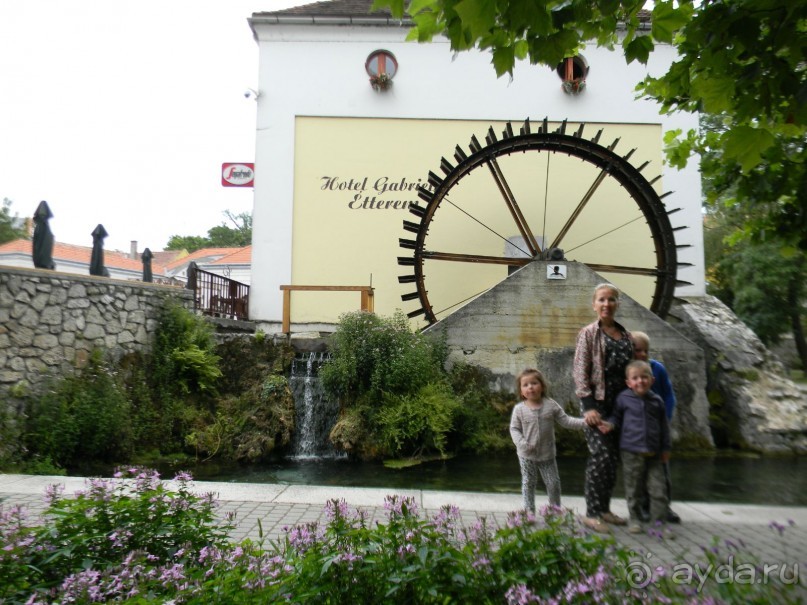 Чудесный отдых в Венгрии