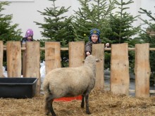 Адвент в Вене и Братиславе