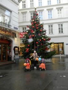 Адвент в Вене и Братиславе