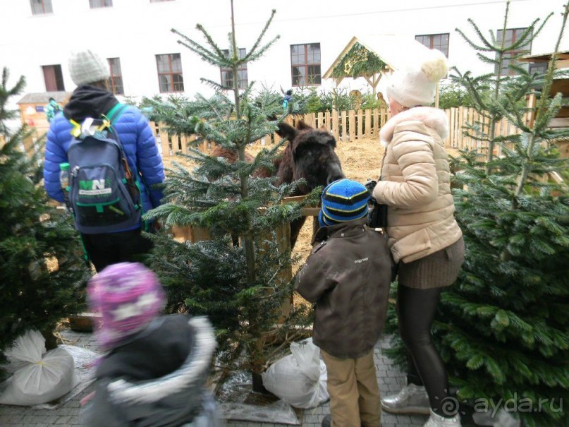 Адвент в Вене и Братиславе