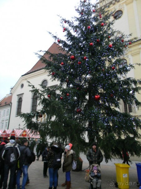 Адвент в Вене и Братиславе