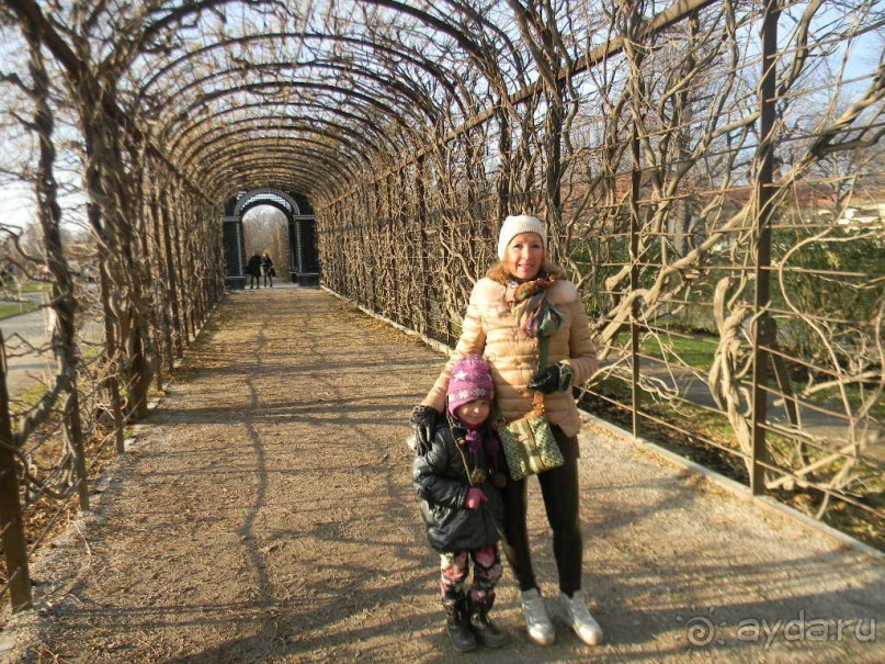 Адвент в Вене и Братиславе