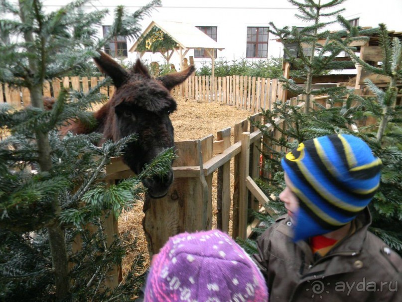 Адвент в Вене и Братиславе