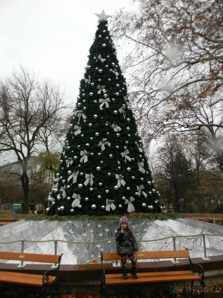 Адвент в Вене и Братиславе