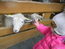 Сказочная Прага