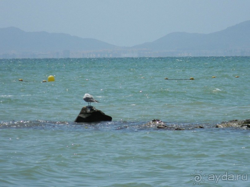 Жаркое лето в Испании 