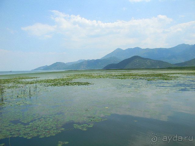 Черногория, Утеха