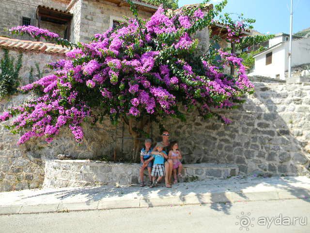 Черногория, Утеха