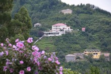 hotel zura