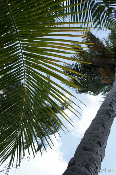 Круиз "по-нашенски" (часть 1)