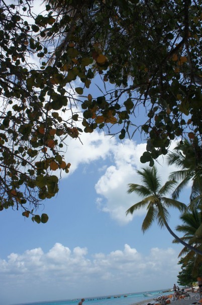 Круиз "по-нашенски" (часть 1)