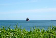 В прошлом году, кстати, было теплее. Вот фото ровно год назад, 1 апреля:  Присоединяйтесь! Продолжение следует...