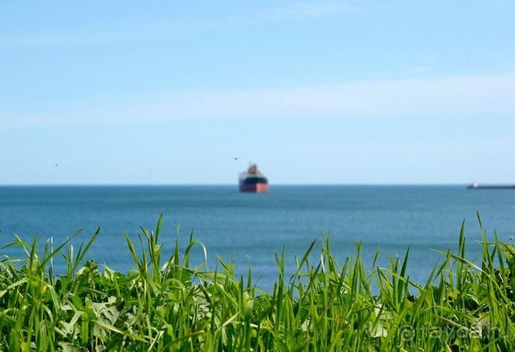 В прошлом году, кстати, было теплее. Вот фото ровно год назад, 1 апреля:  Присоединяйтесь! Продолжение следует...