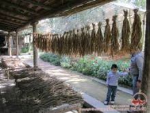 Альбом отзыва "Производство шелковой бумаги по старинным технологиям."