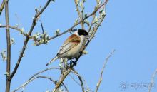    Самарканд. Доброе солнце над доброй страной Или как я провёл мои самые лучшие каникулы