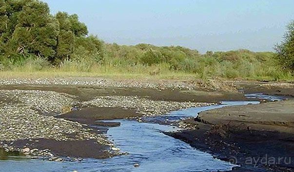    Самарканд. Доброе солнце над доброй страной Или как я провёл мои самые лучшие каникулы
