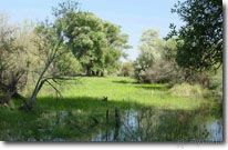    Самарканд. Доброе солнце над доброй страной Или как я провёл мои самые лучшие каникулы