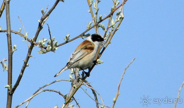    Самарканд. Доброе солнце над доброй страной Или как я провёл мои самые лучшие каникулы