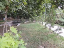 Чудеса Ходжа Чорчинора 