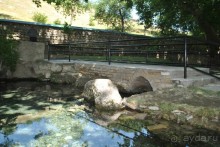 Чудеса Ходжа Чорчинора 