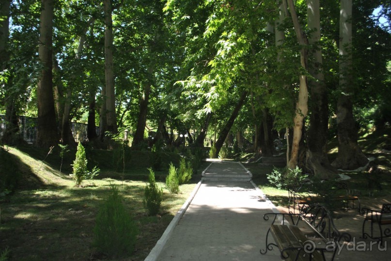 Чудеса Ходжа Чорчинора 