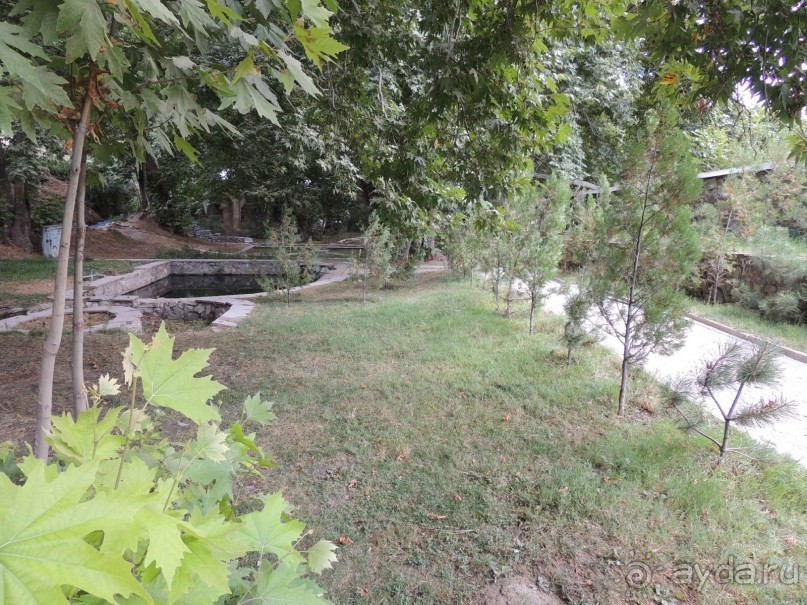 Чудеса Ходжа Чорчинора 