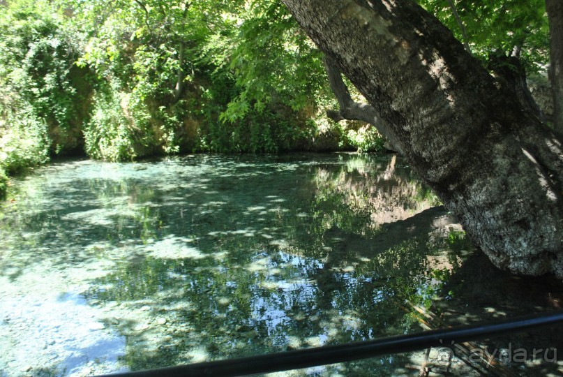 Чудеса Ходжа Чорчинора 