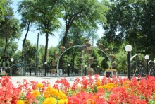 От 1,5 декоративных деревьев до 2 миллионов цветов  высадили в Самарканде к фестивалю  