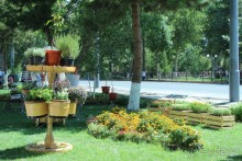 От 1,5 декоративных деревьев до 2 миллионов цветов  высадили в Самарканде к фестивалю  