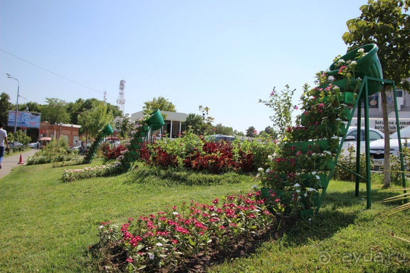 От 1,5 декоративных деревьев до 2 миллионов цветов  высадили в Самарканде к фестивалю  