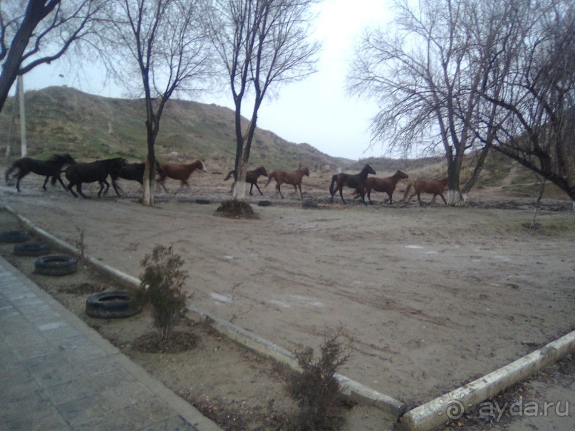 «Дабускалъа» - одно из священных мест Древнего Самарканда