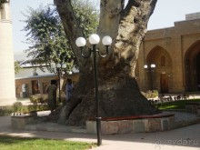 Неповторимый край Акдарьи