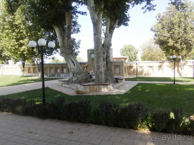 Неповторимый край Акдарьи