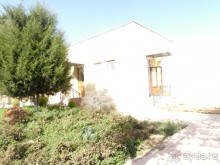 Неповторимый край Акдарьи