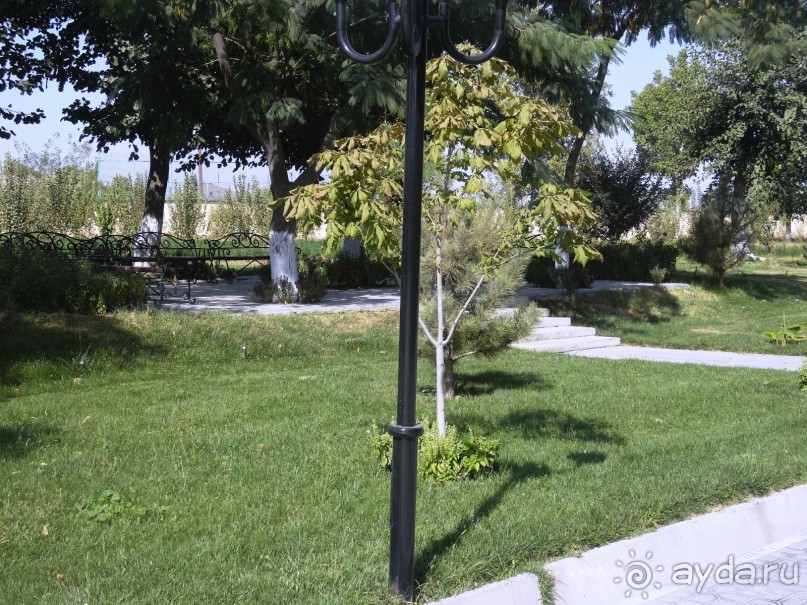 Неповторимый край Акдарьи