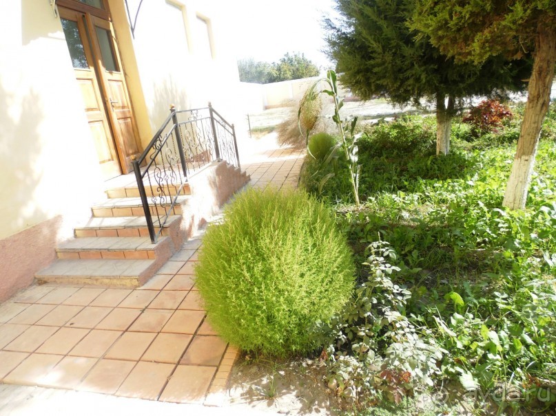 Неповторимый край Акдарьи