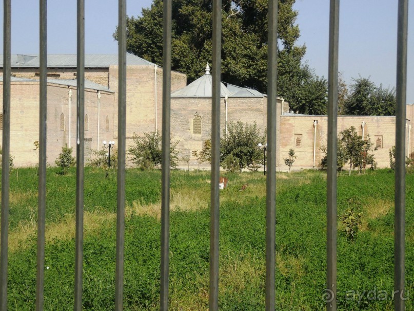 Неповторимый край Акдарьи