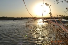 Альбом отзыва "Девственный уголок рая "