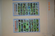 Альбом отзыва "Девственный уголок рая "