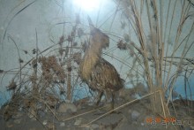 Девственный уголок рая 