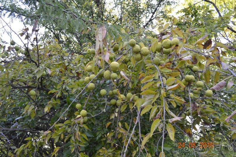 Девственный уголок рая 