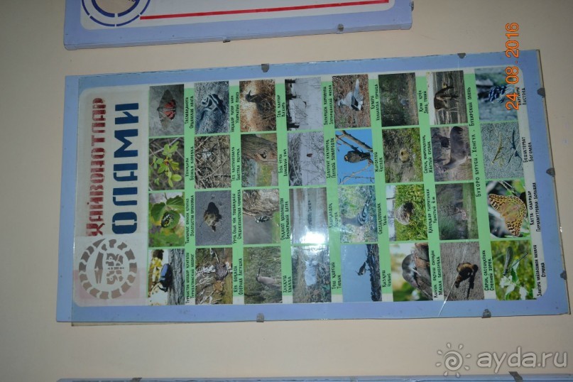 Альбом отзыва "Девственный уголок рая "