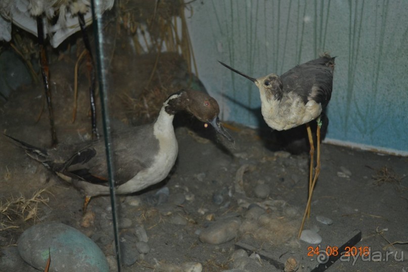 Девственный уголок рая 