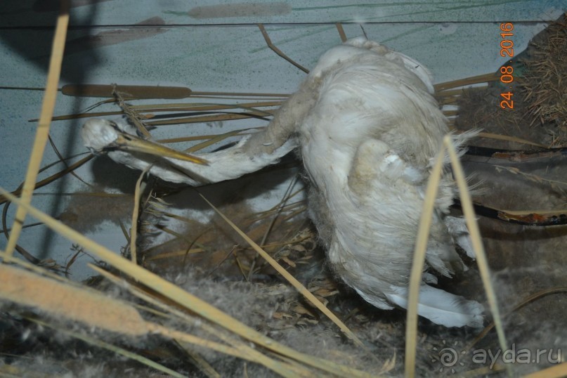 Девственный уголок рая 