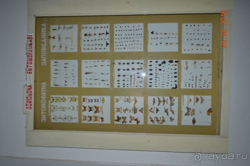 Девственный уголок рая 