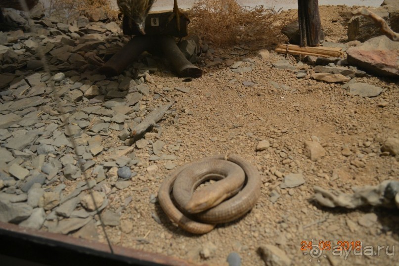 Девственный уголок рая 