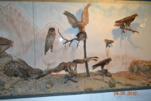 Девственный уголок рая 