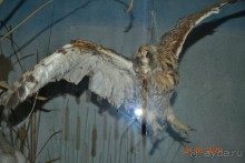 Девственный уголок рая 