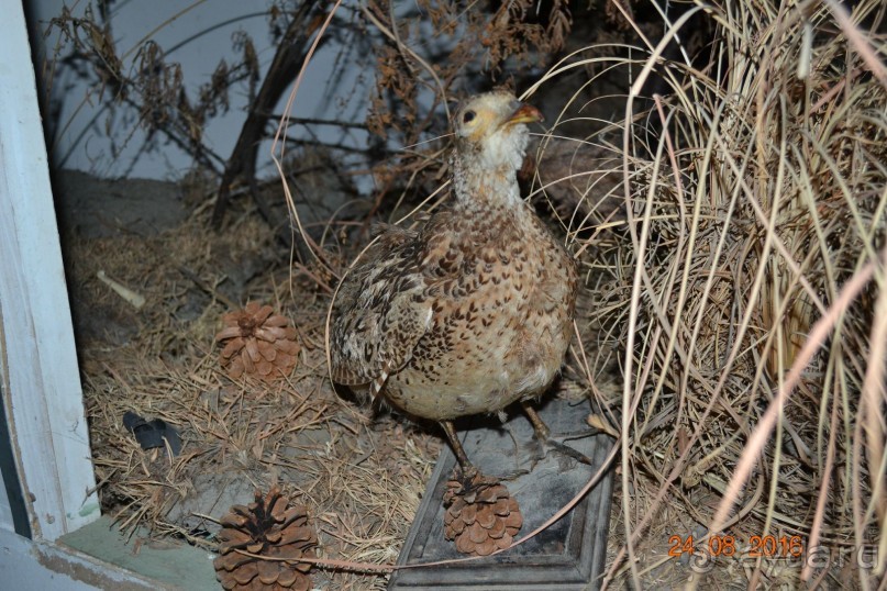 Девственный уголок рая 